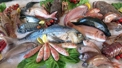 Pescados frescos